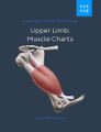 Upper Limb Muscle Charts.jpg